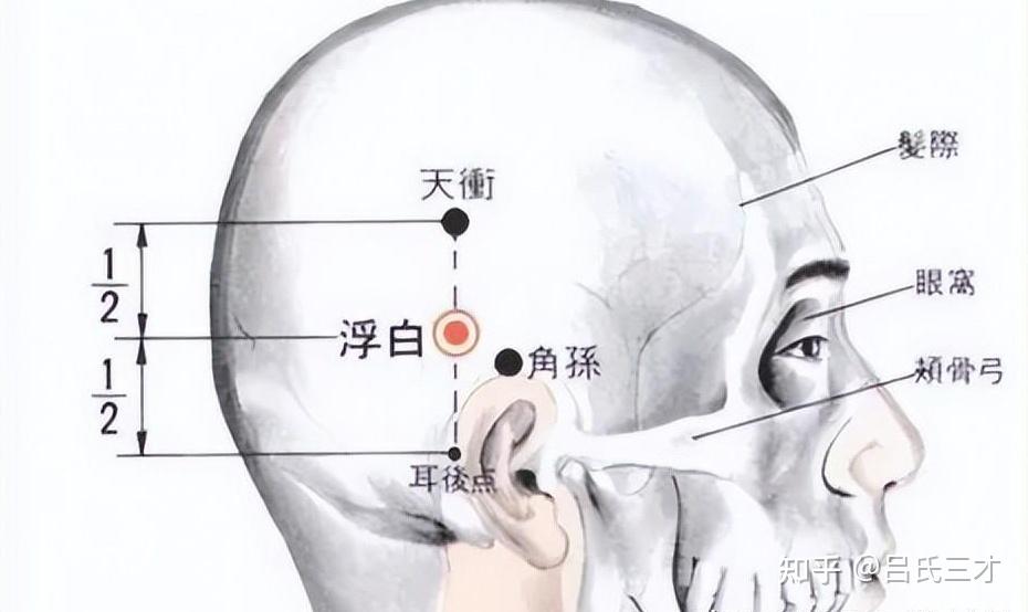 浮白穴：在头部，当耳后乳突的后上方，天冲与完骨的弧形连线的中三分之